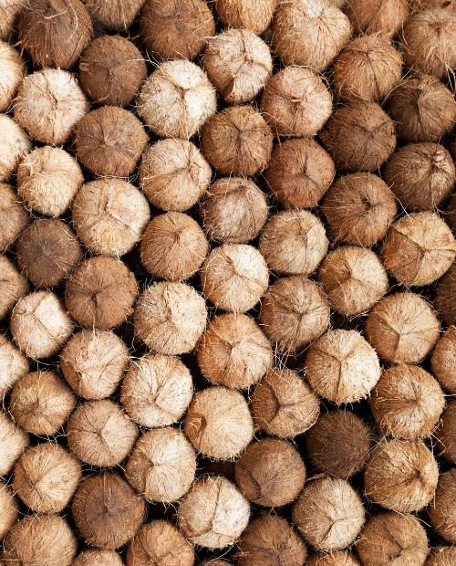 raw coconuts